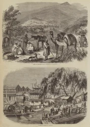 Chinese Sketches
